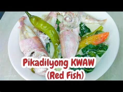 kwaw fish|How to fish Red Bigeye or kwaw /AMAZING EXPERIENCED .